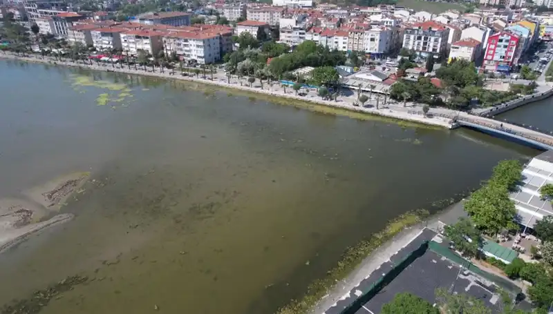 Marmara Denizi'nde Tehlikeli Görüntü: Uzmanlar Uyarıyor!