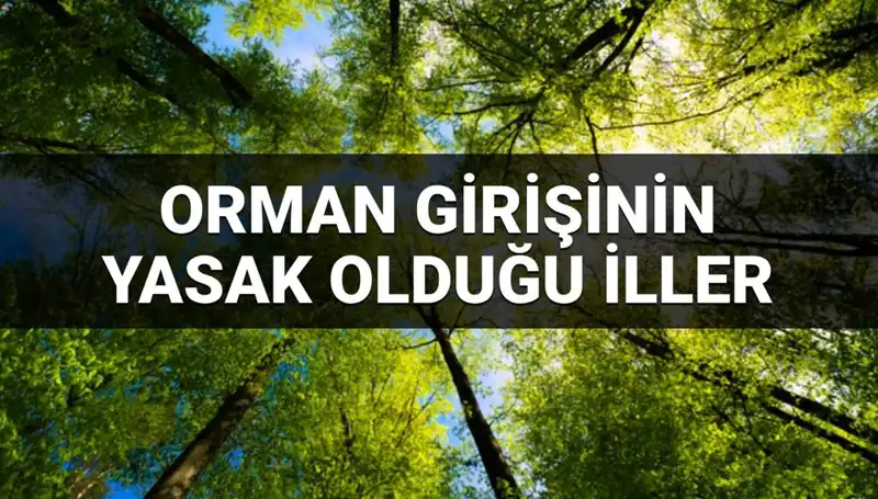 2025'te Ormana Girmek Yasak Olan İlleri Keşfedin