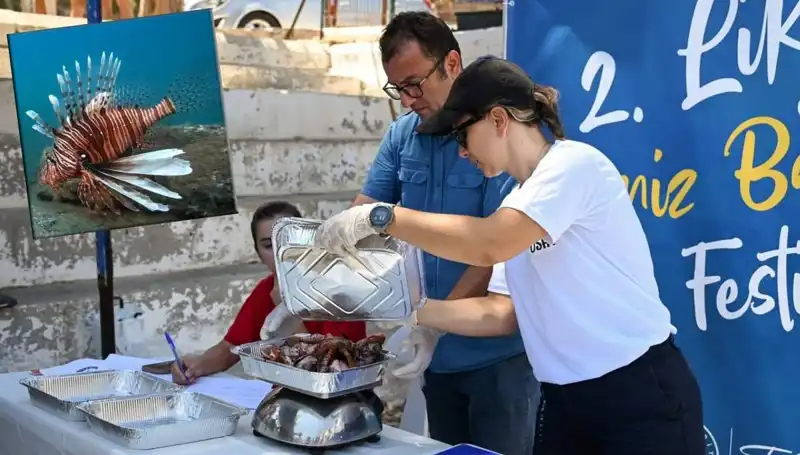 Antalya'da İstilacı Aslan Balığı Avlama Yarışması: Denizin Dengesini Koruma Mücadelesi