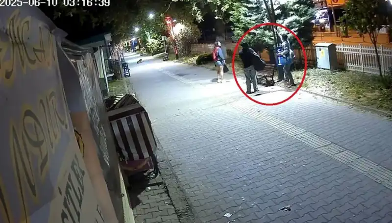 Aydınlatma Direklerindeki LED'ler Çalındı: Şehirde Güvenlik Alarmı!