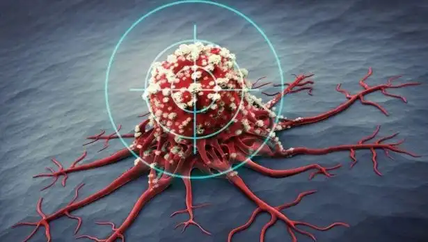 Prostat Kanseriyle Mücadelede Etkili 6 Besin: Bilim İnanılmaz Sonuçlar Geliştiriyor