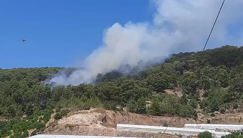 Kumluca’da Orman Yangını: Doğanın Kalbi Alev Alev Yandı