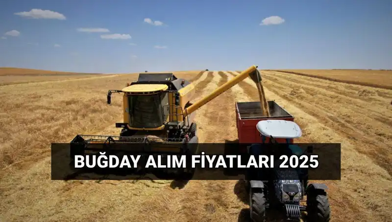 2025 Hububat Alım Fiyatları ve Ödeme Tarihleri Açıklandı!