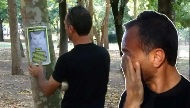 Kaybolan Kedi İçin Umut Arayışı: 10 Bin Lira Ödül Verilecek