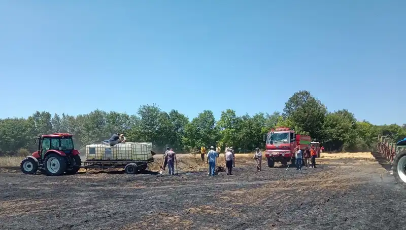 Buğday Tarlasındaki Yangın, 10 Dönümlük Alanda Büyük Zarar Oluşturdu
