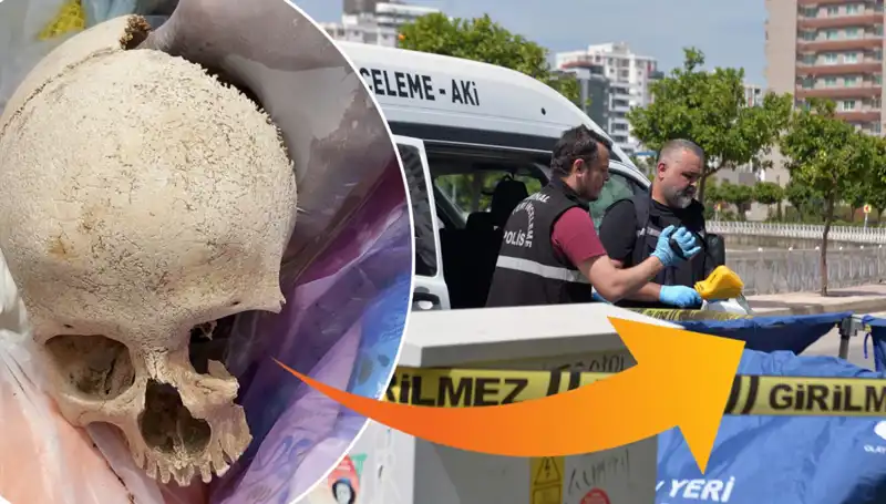 Sitenin Çöpünden Çıkan Kafatası Sırrı: Uzman Doktor Gözaltında