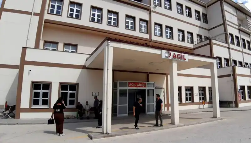 Bolu'da Tartışmalı Ayı Avı Kararı: Doğa Koruma mı, İnsani Kayıplar mı?