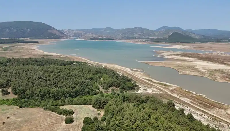 İzmir'de Kritik Durum: Geçen Yıla Göre Yüzde 50 Düşüş Yaşandı