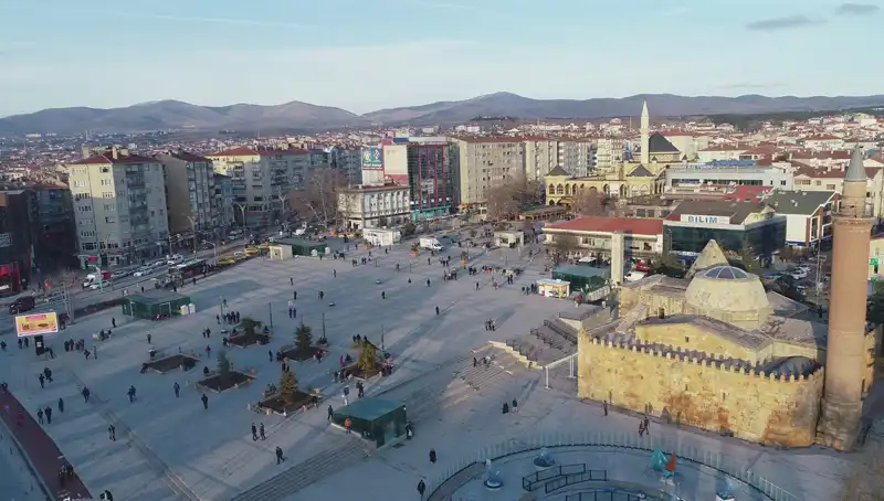 Kırşehir’de Keşfedilen Yeni Böcek Türü Bilim Dünyasını Şaşkınlığa Uğrattı!