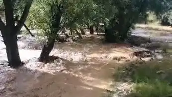 Mersin'de Sağanak Yağış Sel Felaketine Neden Oldu, Sondakika Gelişmeleri