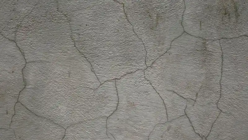 Canlı Beton İle Yapıların Geleceği Yeniden Şekilleniyor