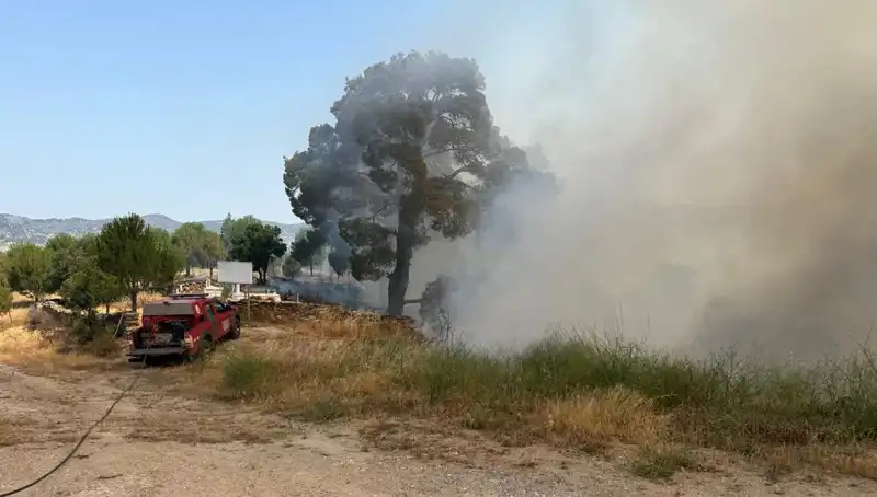 Muğla’da Korkutan Orman Yangını: Yerel Halk ve Doğa Tehlikede
