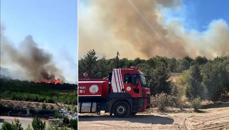 Gebze'de Orman Yangını: Bölgedeki Hayat Üzerindeki Etkileri
