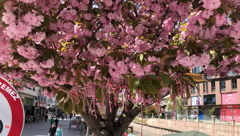 Süs Erik Ağaçları Martenitsa ile Beğeni Topladı