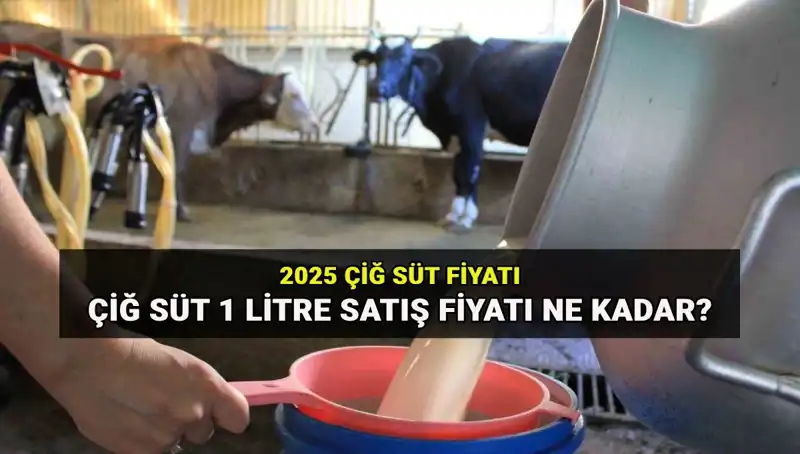 Çiğ Süt Fiyatları 2025'te Ne Kadar Olacak? İşte Detaylar!