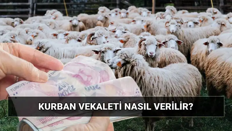 Vekaletle Kurban Kesimi: Nasıl Yapılır ve 2025 Ücret Bilgileri