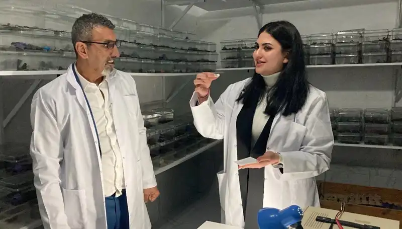 Akrep Zehri ve Şeker: Bilim Dünyasını Sarsan Eşsiz Hikaye