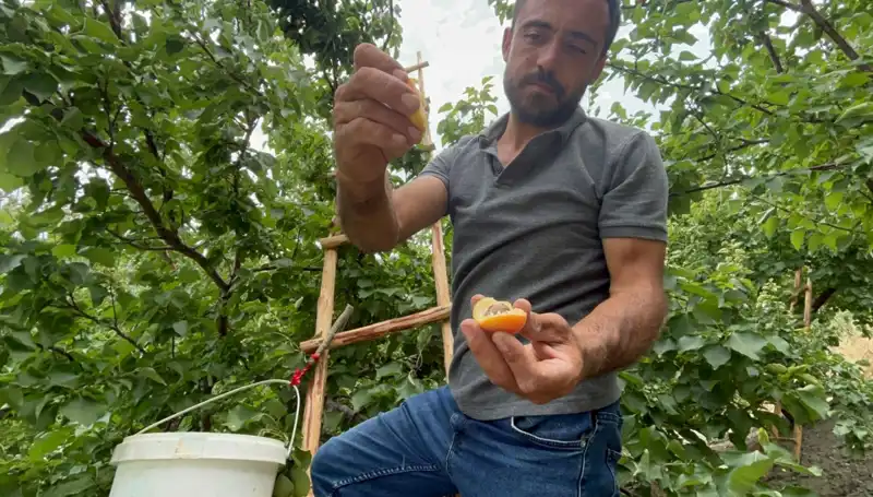Eşsiz Lezzet: 50 TL ile 70 TL Arasında Alıcı Bulan Damakta Bırakan Tatlar