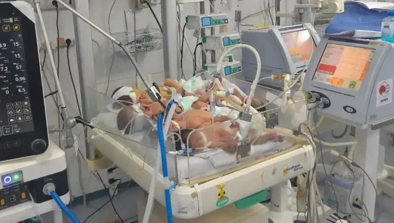 Gazzeli Doktorların İsyanı: Aynı Kuvözde Birden Fazla Bebek Hayatta Kalma Mücadelesi Veriyor