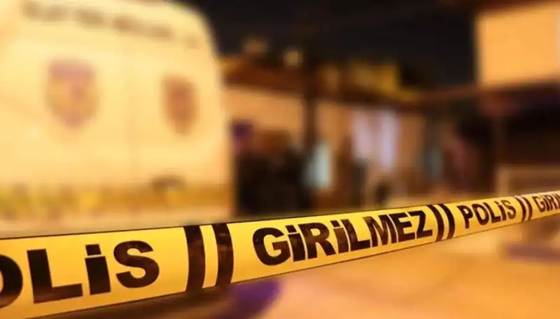 Diyarbakır'da Kayınpederin Korkunç Eylemi: Aile İçinde Şok Edici Olay