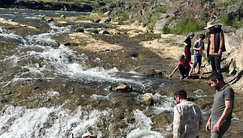 İnci Kefalinin Göçü: Doğanın Büyüleyici Yolculuğu Eşliğinde Turist Akını