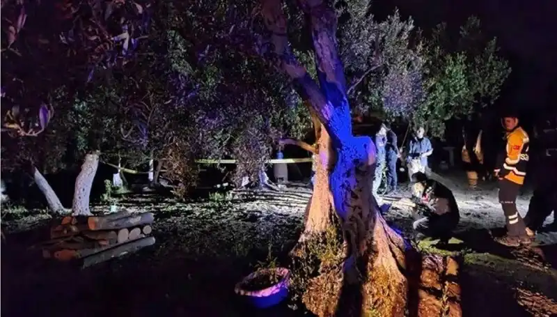 Çiftlikteki Şok Edici Baltalı Vahşetin Ardındaki Gerçekler Ortaya Çıktı!