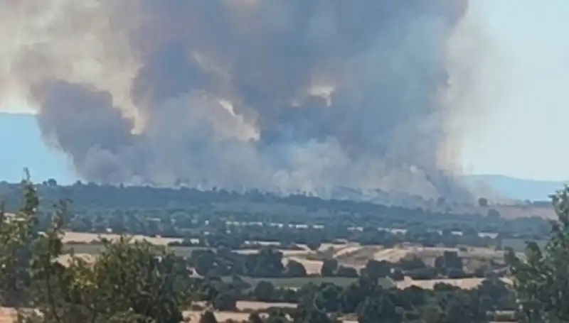 Edirne'de Orman Yangını Alarma Neden Oldu: Dumanlar Şehri Sardı