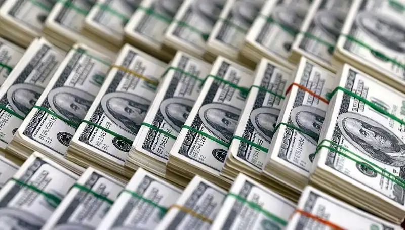 Doların Hızla Yükselmesi: Ekonomistler Uyarıyor!